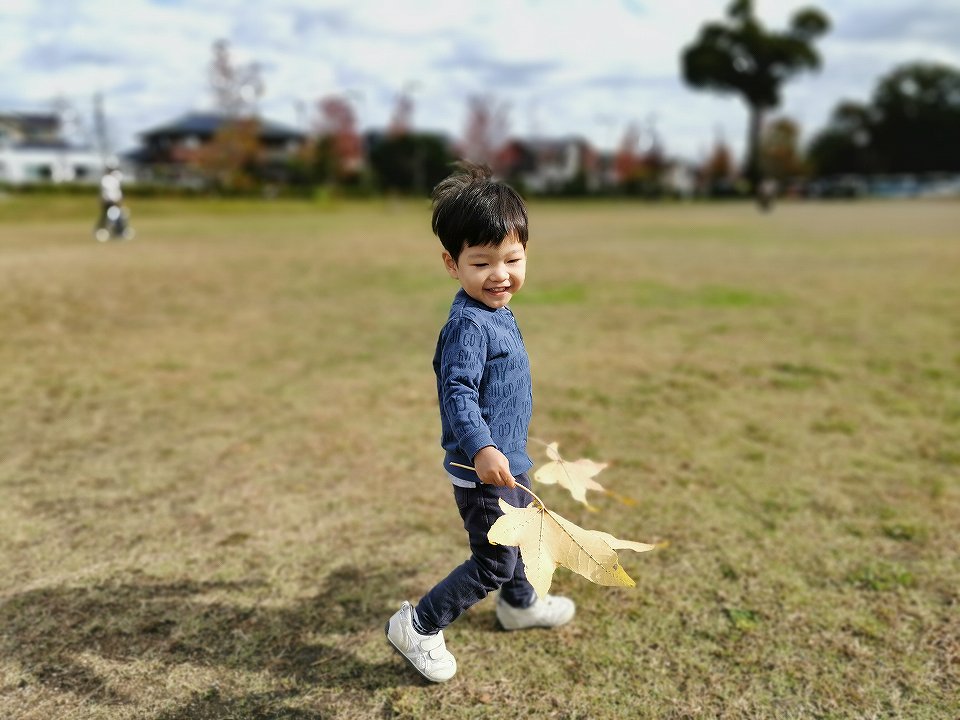 公園で大きな紅葉の葉を両手で持って笑顔の2歳児
