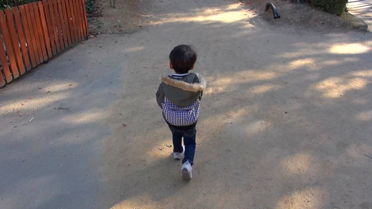 動物園の道を歩く2歳児