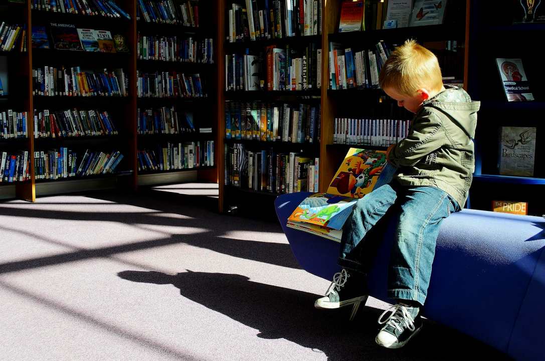 図書館で絵本を見ている幼児